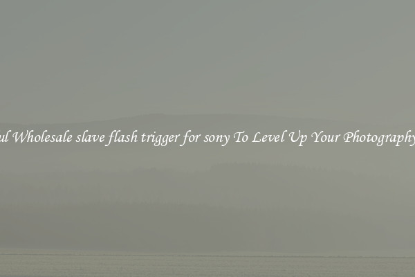 Useful Wholesale slave flash trigger for sony To Level Up Your Photography Skill