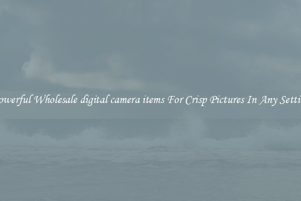 Powerful Wholesale digital camera items For Crisp Pictures In Any Setting
