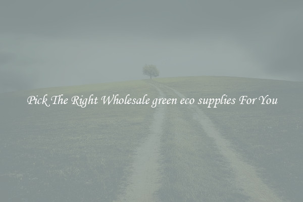 Pick The Right Wholesale green eco supplies For You