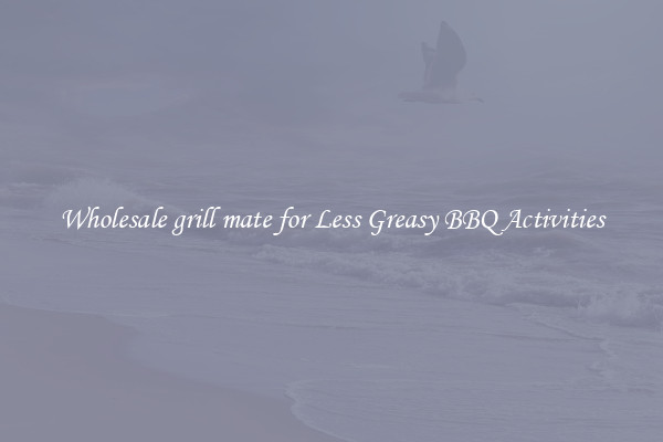 Wholesale grill mate for Less Greasy BBQ Activities