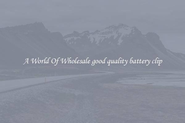 A World Of Wholesale good quality battery clip