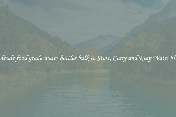 Wholesale food grade water bottles bulk to Store, Carry and Keep Water Handy