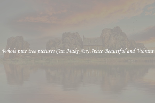 Whole pine tree pictures Can Make Any Space Beautiful and Vibrant