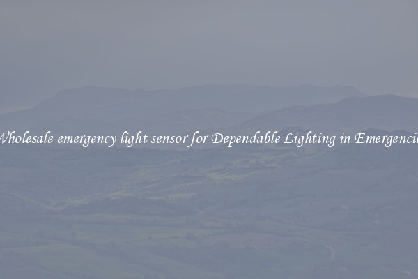 Wholesale emergency light sensor for Dependable Lighting in Emergencies