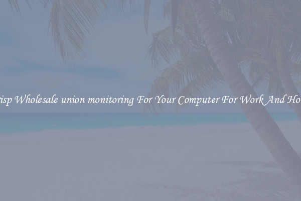 Crisp Wholesale union monitoring For Your Computer For Work And Home