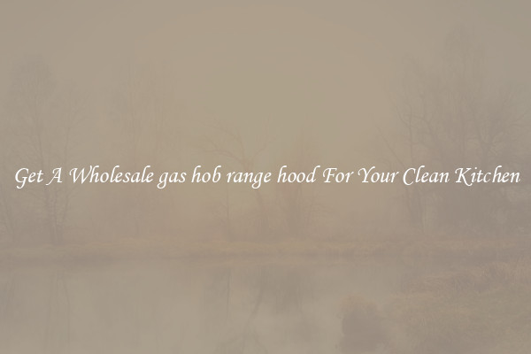Get A Wholesale gas hob range hood For Your Clean Kitchen