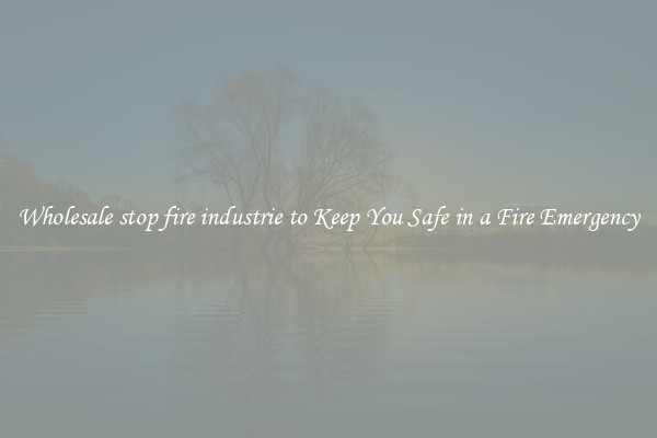 Wholesale stop fire industrie to Keep You Safe in a Fire Emergency