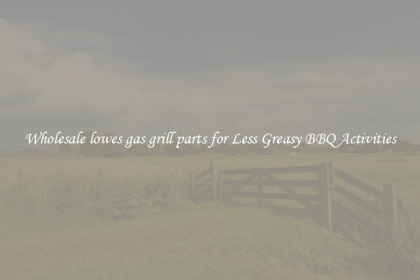 Wholesale lowes gas grill parts for Less Greasy BBQ Activities
