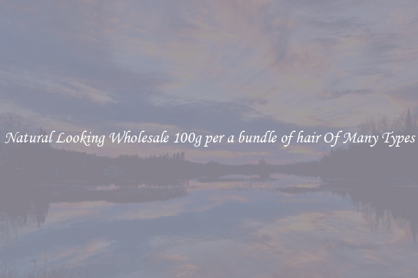 Natural Looking Wholesale 100g per a bundle of hair Of Many Types