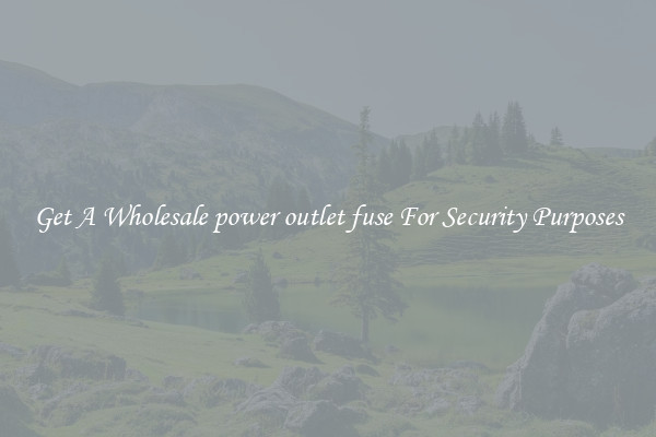 Get A Wholesale power outlet fuse For Security Purposes