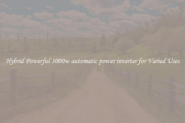 Hybrid Powerful 3000w automatic power inverter for Varied Uses