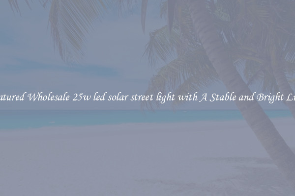 Featured Wholesale 25w led solar street light with A Stable and Bright Light