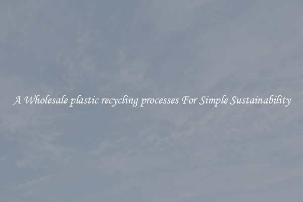  A Wholesale plastic recycling processes For Simple Sustainability 