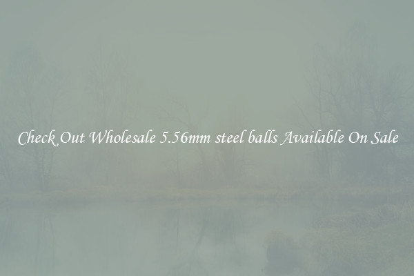 Check Out Wholesale 5.56mm steel balls Available On Sale
