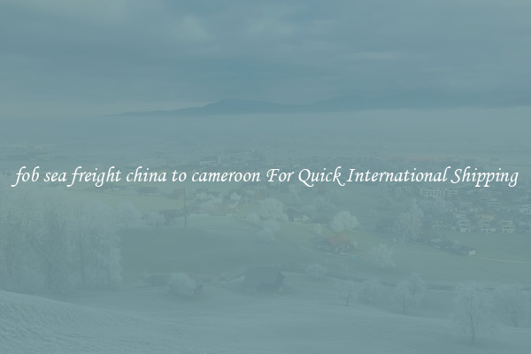 fob sea freight china to cameroon For Quick International Shipping
