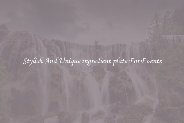 Stylish And Unique ingredient plate For Events