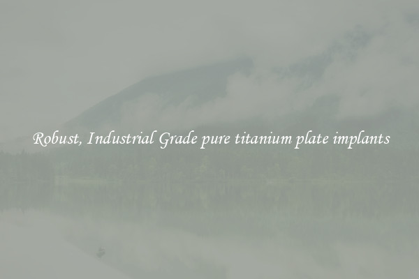 Robust, Industrial Grade pure titanium plate implants