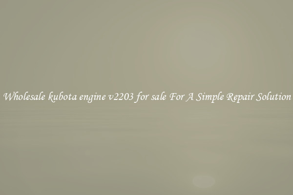Wholesale kubota engine v2203 for sale For A Simple Repair Solution