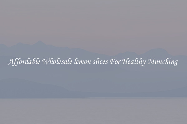 Affordable Wholesale lemon slices For Healthy Munching 