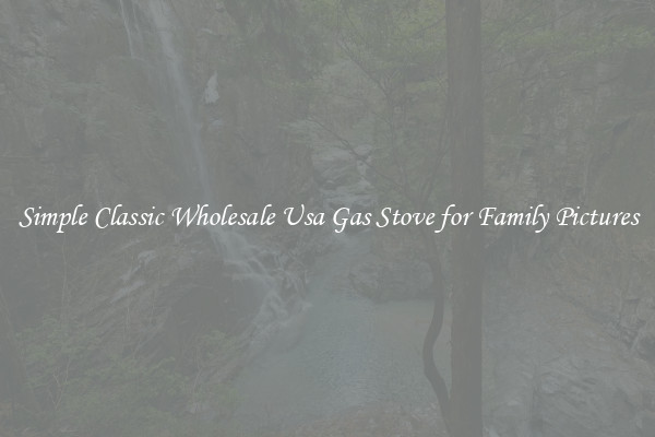 Simple Classic Wholesale Usa Gas Stove for Family Pictures